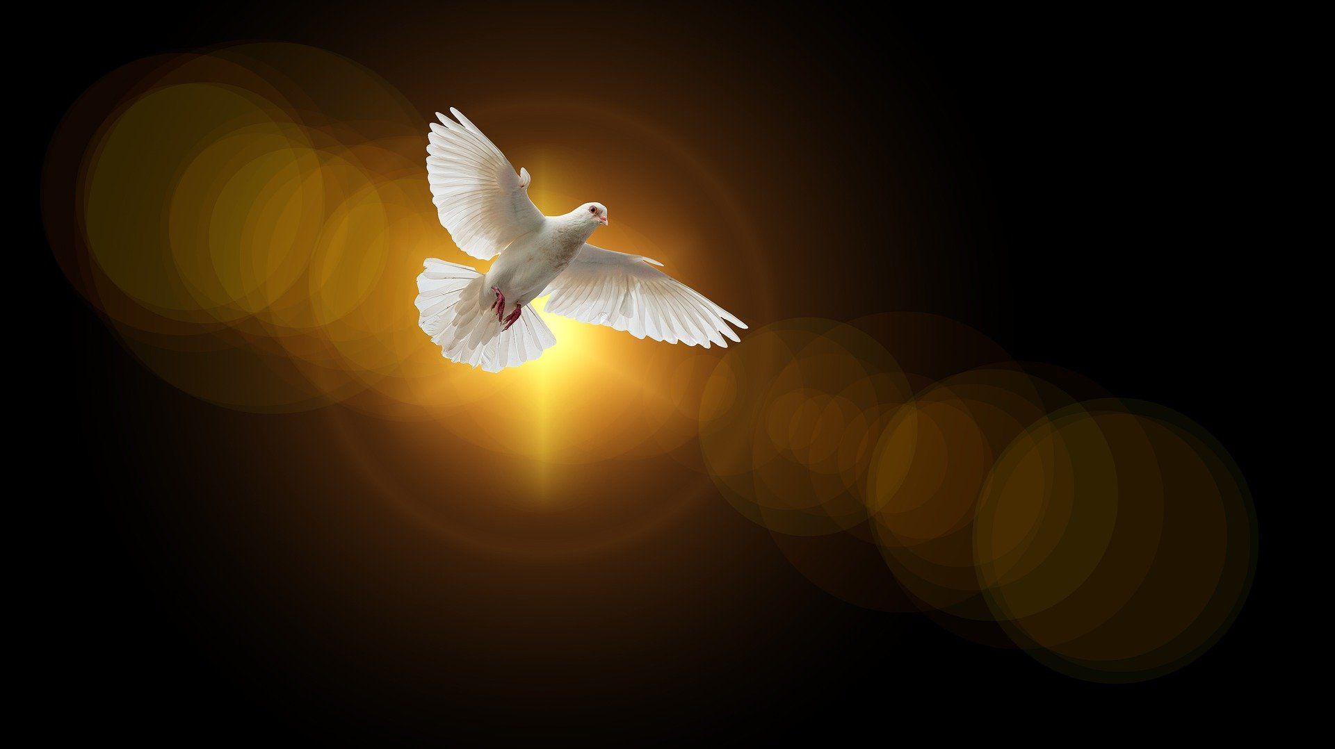 Paraklet [J 15, 26 - 16, 4a]