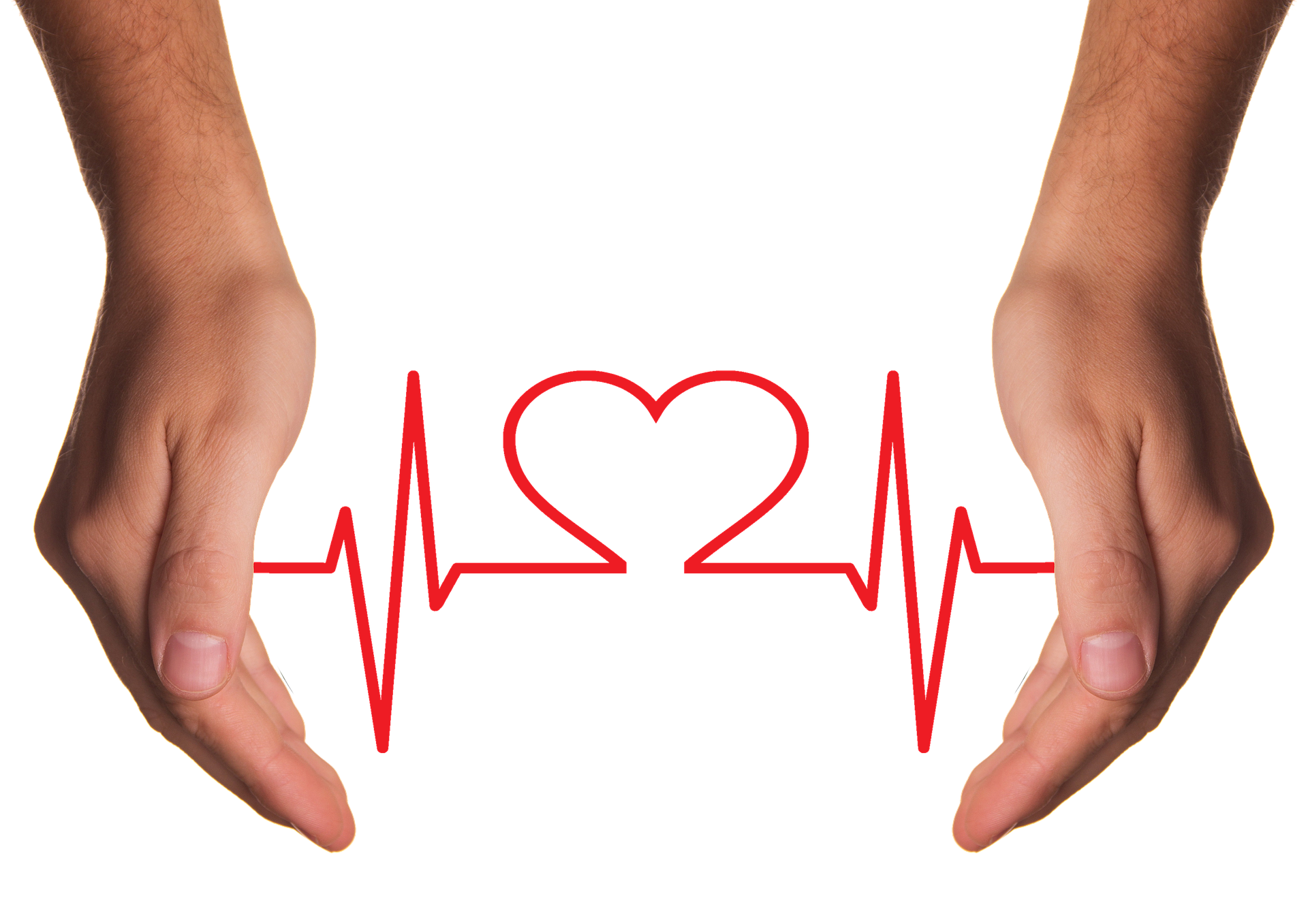 Paraliż [Mt 9, 1 - 9] 