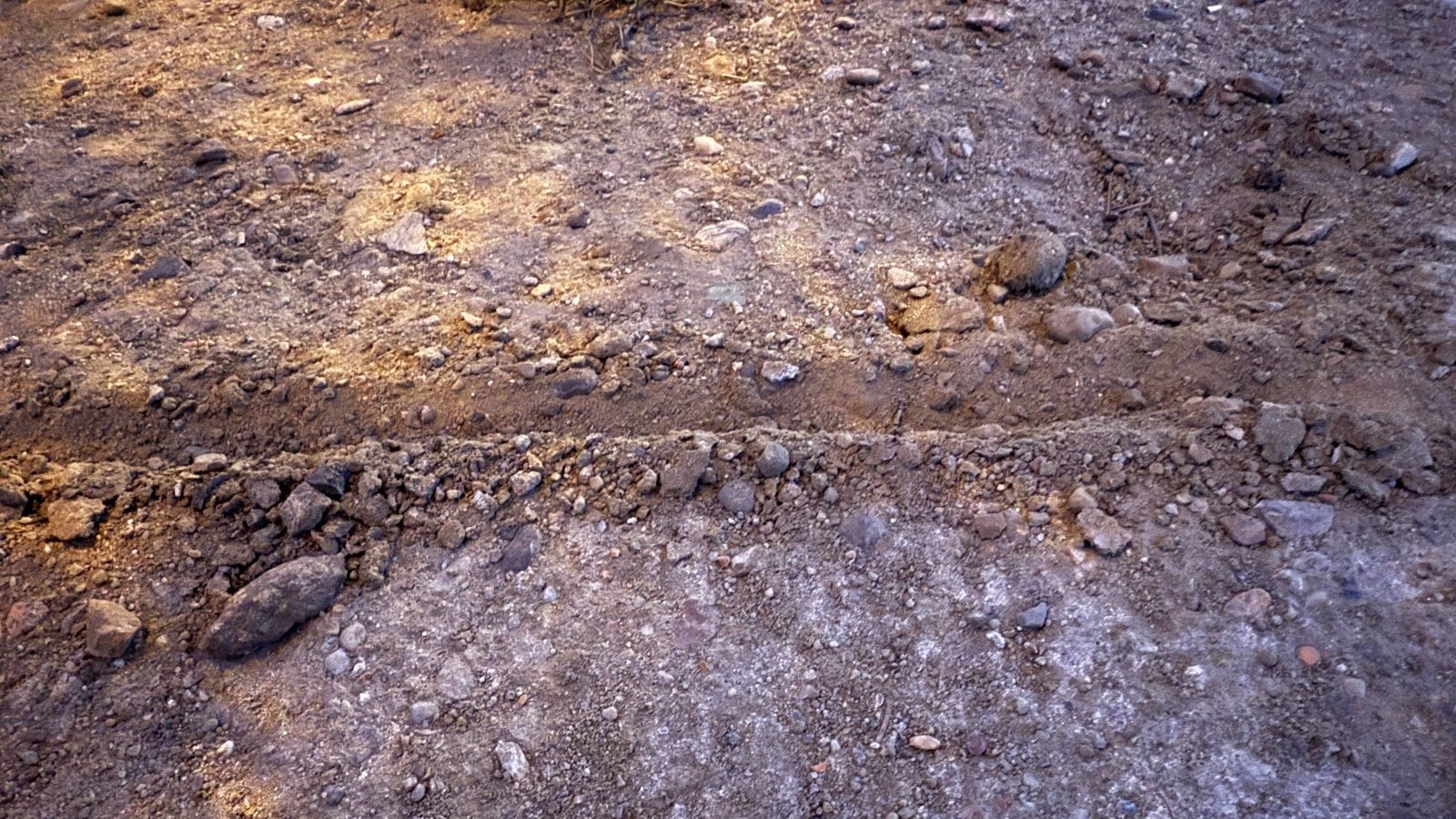 Gruba kreska [J 8, 1-11]